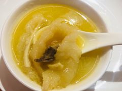 花胶-尚海豆捞(乐虹坊店)