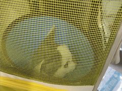 -谐和贝康宠物医院24小时·宠保定点(急重症转诊中心)