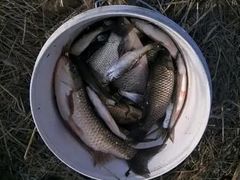 -南京金牛湖风景区