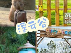 -阿露佳·舌尖上的安吉菜