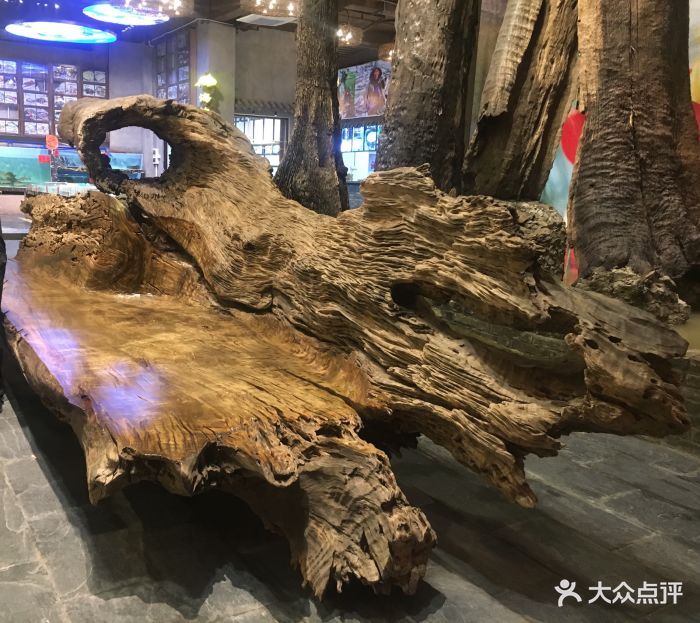 大树头烧鸡(市桥店)大堂图片 - 第1张