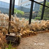 救命🆘苏州发现一家超绝的咖啡厅