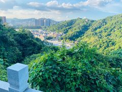 -阳台山森林公园