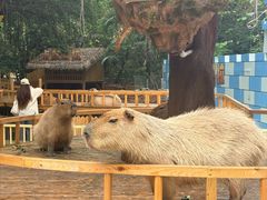 -深圳野生动物园