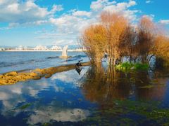 -青海湖国家重点风景名胜区
