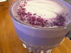 -Mesa Madre梅萨妈妈·Bintana(国贸店)