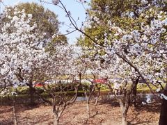 -云龙湖旅游景区