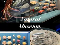 -浙江自然博物院(杭州馆)