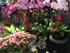 -Olé精品超市(北京合生汇店)