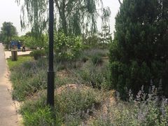 -永定河休闲森林公园