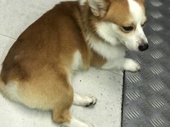 -小梁哥云吞面(黄贝岭店)