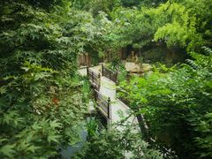 -聚缘堂·海鲜私房菜(松岭路店)