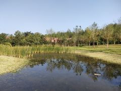 -张家湾公园
