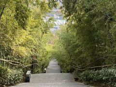 -竹林寺