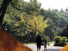 -东湖落雁景区