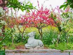 -南汇桃花村