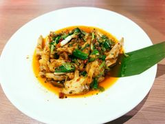 -滇铺子·云南特色菜·第九届野生菌美食节(曲靖万达店)