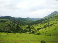 -大姆山草场