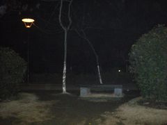 -泰州凤城河风景区-泰山公园