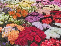 -双季花艺园艺市场(浦东店)