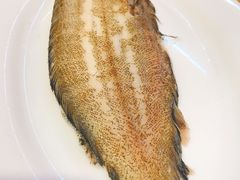 -长平老姿娘夜粥(平东一街店)