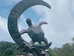 -广东惠东海龟国家级自然保护区