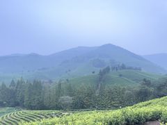 -老李家土菜馆·安吉地标美食