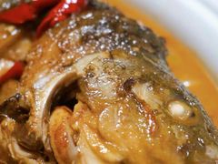 红烧黄河大鲤鱼-阿五黄河大鲤鱼(纬三路店)