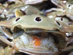 -浦商菜市场·锦德店
