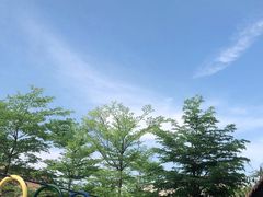 -灵玲国际马戏城