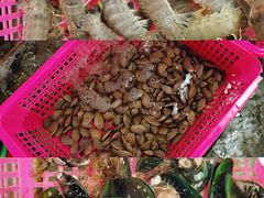 -田源农家饭店·窑鸡王·海鲜(东部湾·融创店)