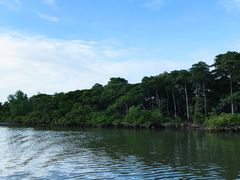 -东寨港红树林旅游区