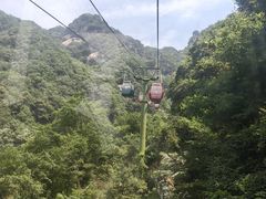 -王顺山国家森林公园