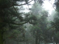 -南岳衡山风景名胜区