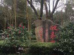 -邓小平故里