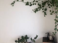 -星美科技皮肤管理中心(国贸店)