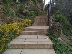 -三游洞