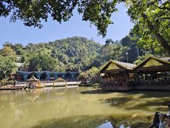 -西双版纳原始森林公园