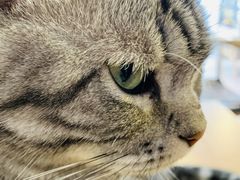 -平行世界·猫咖(首经贸店)