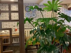 -老湖南湘土菜馆(普阳街店)