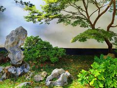 -上海醉白池公园