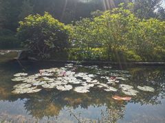 -云溪植物园