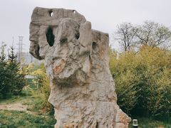 -雁滩公园