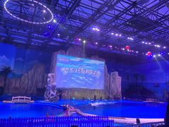 -华夏文旅海洋公园