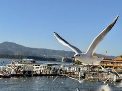 -昆明冠生园·蛋糕·面包(南强街店)