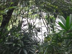 -西樵山风景名胜区-天湖公园