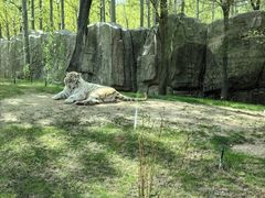 -北京野生动物园