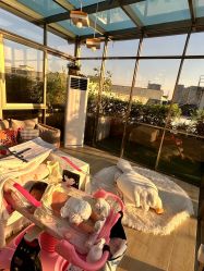 -维倪月子会所(独栋庭院·南海店)