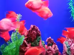 -乌鲁木齐海洋馆