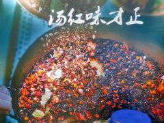 -友乐居羊蝎子(西直门店)